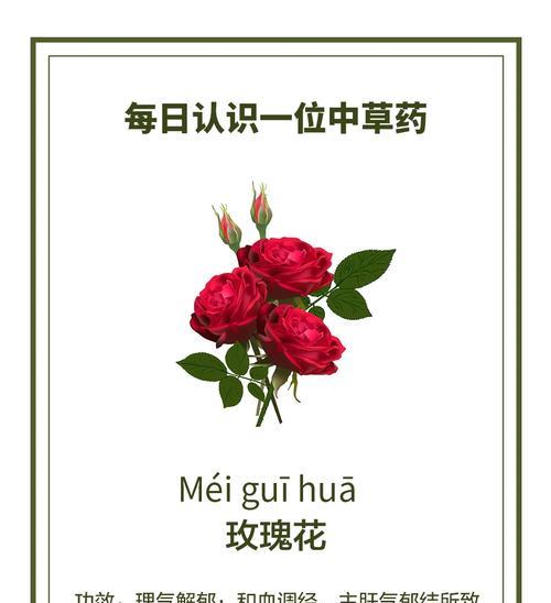 深情表达（用花语传递爱意）