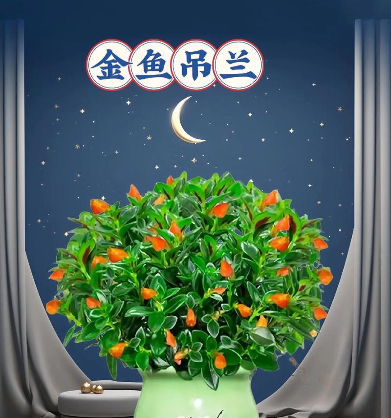 吊兰开花的寓意与意义（探究吊兰开花的象征意义及其在生活中的应用）