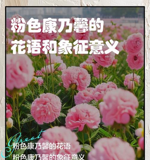 无忧花花语的意义——传递快乐与祝福的花朵（用花言巧语传递情感）