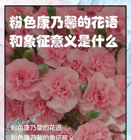 无忧花花语的意义——传递快乐与祝福的花朵（用花言巧语传递情感）