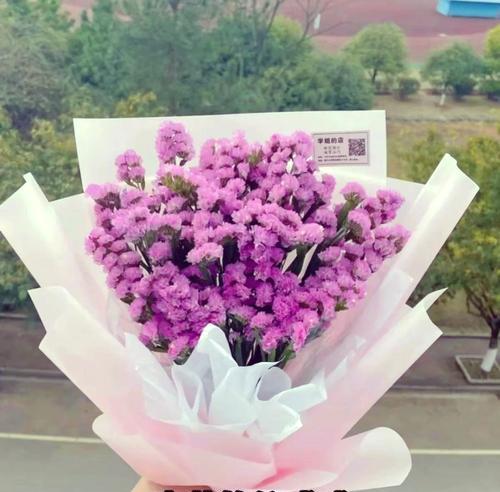 永恒花开，情谊不忘（勿忘我）