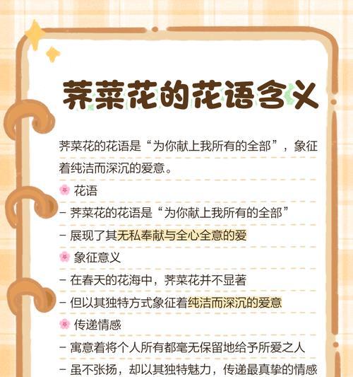 无私的爱——以白色百合的花语为主题（唤起内心纯洁的情感）