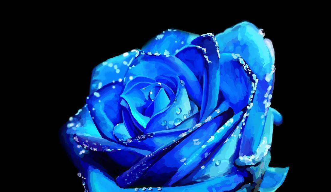 神奇的奇迹——以仙客来花的花语为主题的文章（揭开仙客来花的花语奥秘）