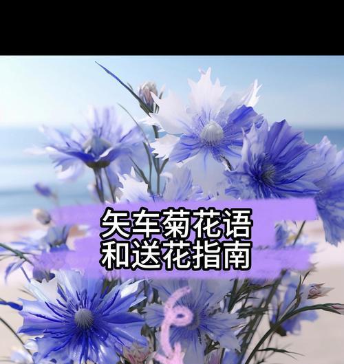 矢车菊花语揭示的七种颜色的意义（探索矢车菊每个颜色的花语）
