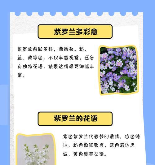 紫罗兰花语的意义及适合送给的人群（传递真挚情感的紫罗兰）