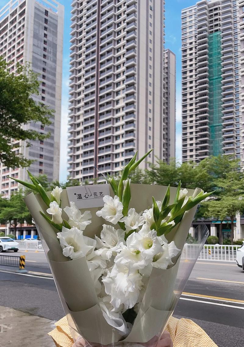 剑兰花语及其意义（解读剑兰花语）