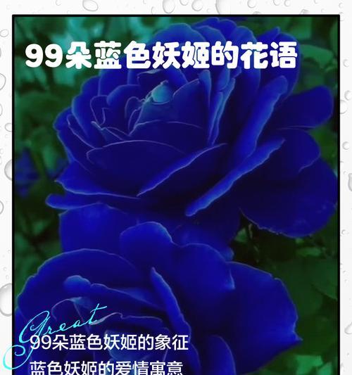 妖姬的蓝色花语（绽放在青葱岁月里的爱与美）