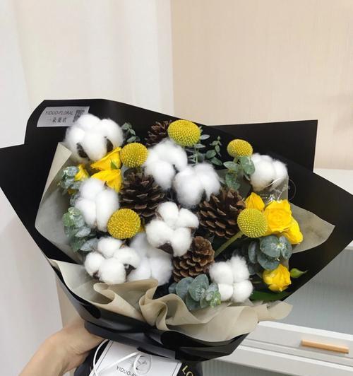 棉花的花语与寓意（以柔克刚）