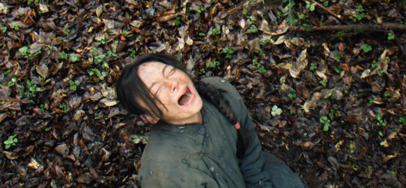 全员自带烘干技能？胡军《归队》我看笑了，接不了《生万物》的班