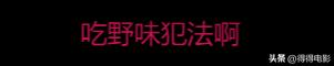 全员自带烘干技能？胡军《归队》我看笑了，接不了《生万物》的班