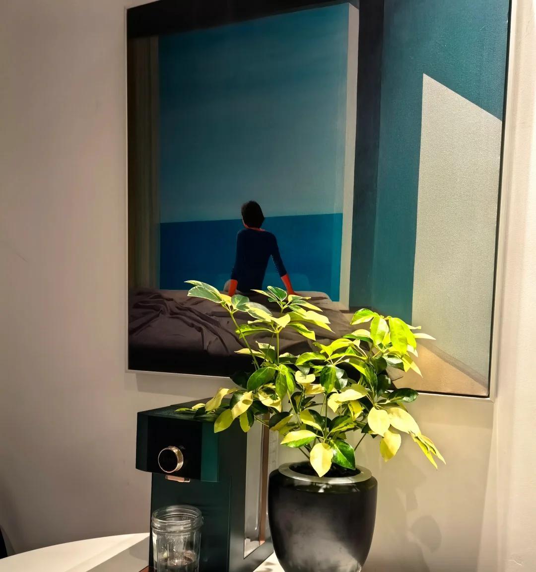 男子晒“满屋的水培花”，连香蕉树都有，网友：绿植成衣架，好牛