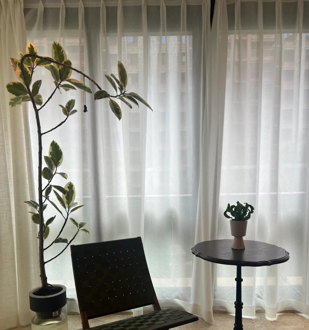 男子晒“满屋的水培花”，连香蕉树都有，网友：绿植成衣架，好牛