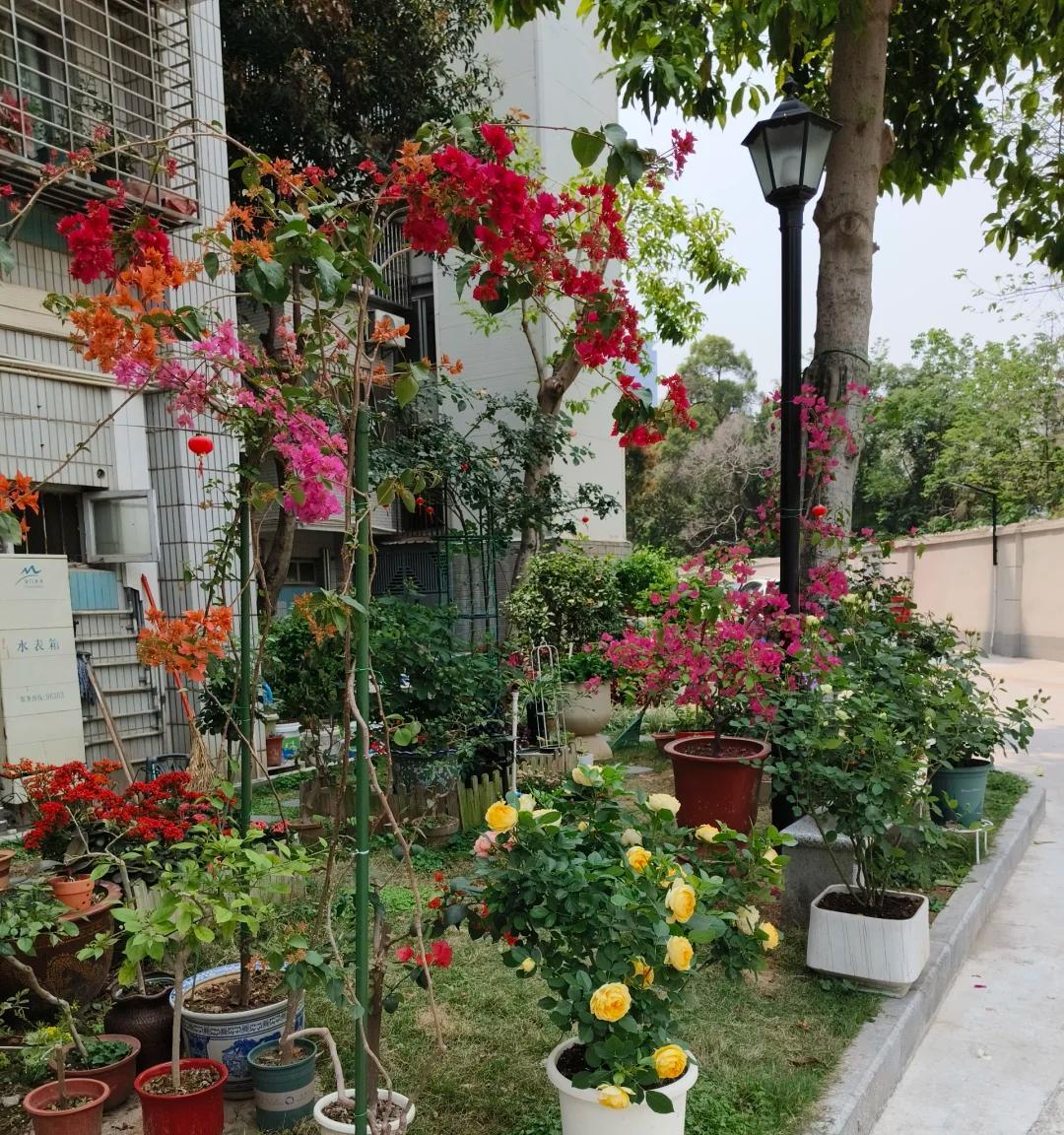 保安大叔因“捡业主扔的花”火了，心中有爱，眼中有光：好羡慕他