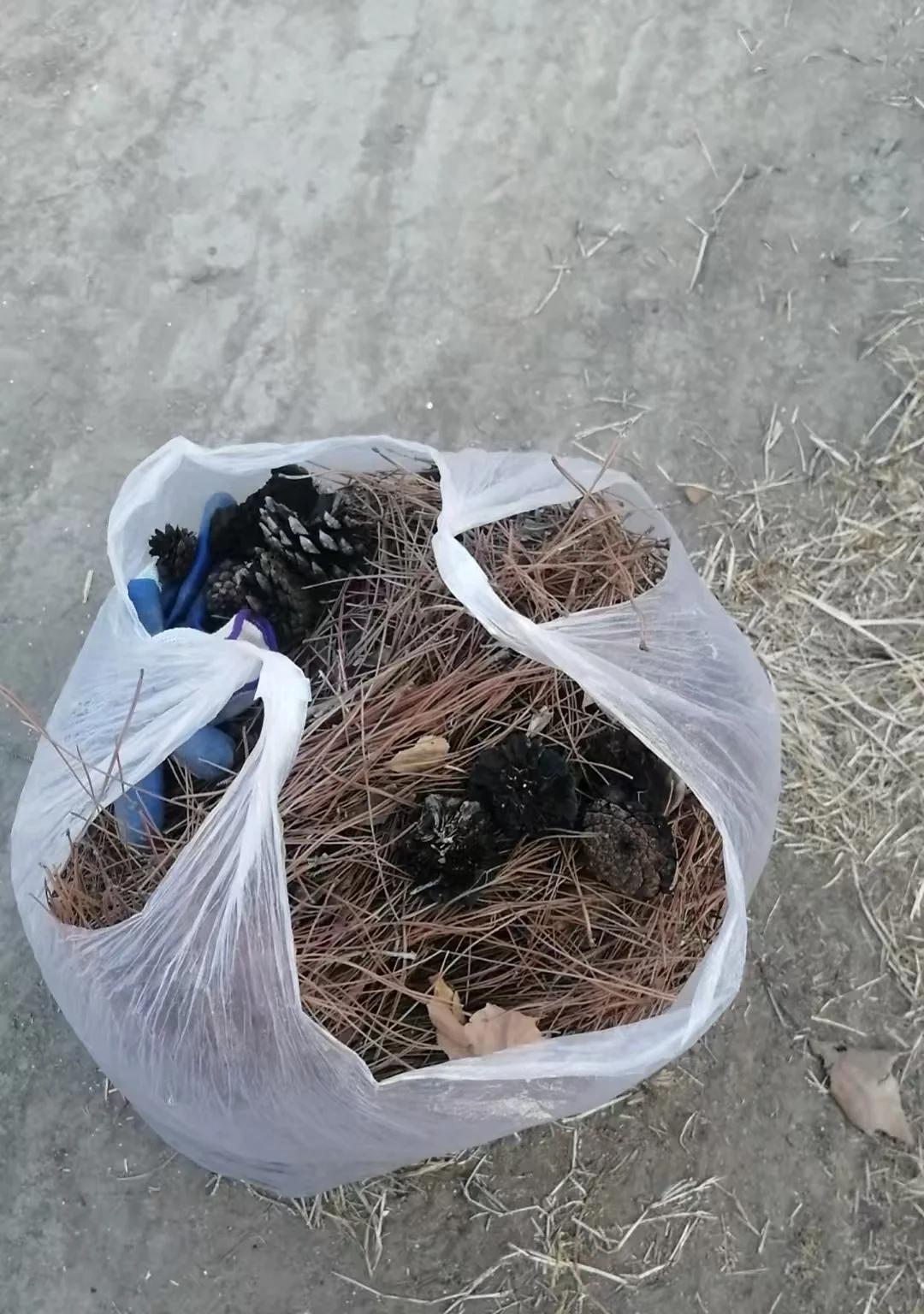 保安大叔因“捡业主扔的花”火了，心中有爱，眼中有光：好羡慕他