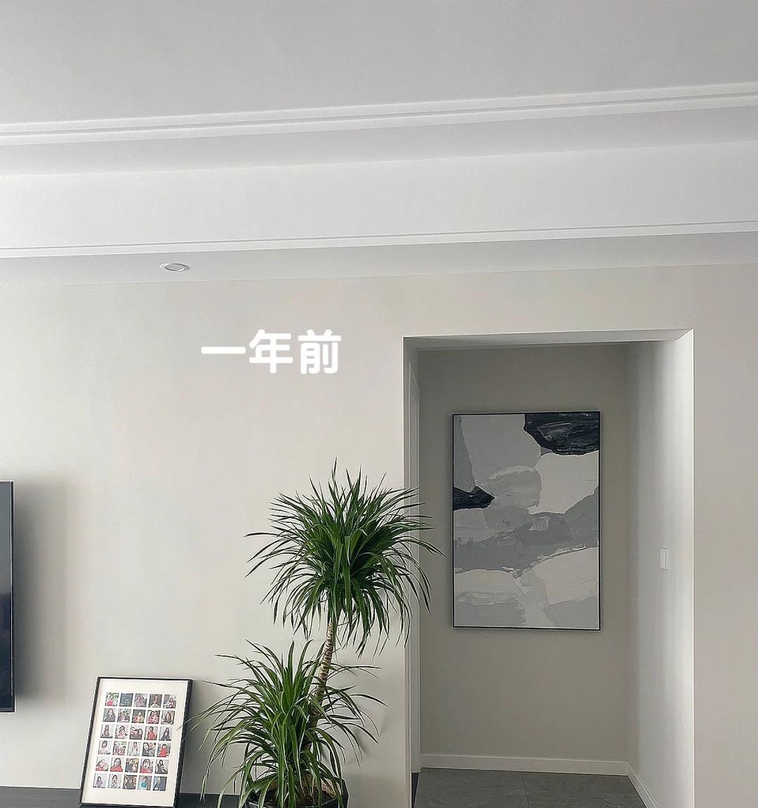 女子晒“精心养的花”，年年岁岁盆相似，岁岁年年花不同：我也是