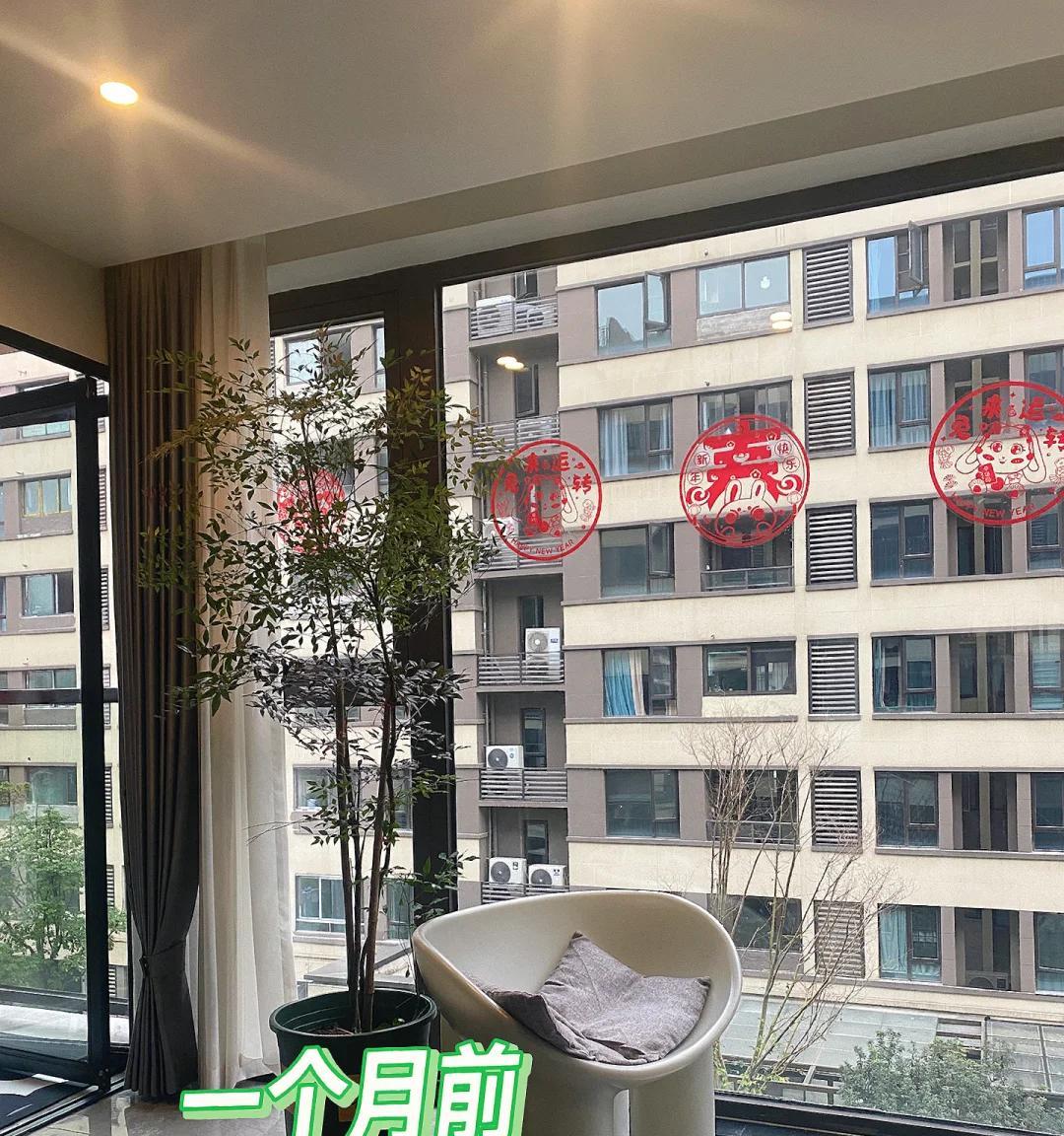 女子晒“精心养的花”，年年岁岁盆相似，岁岁年年花不同：我也是