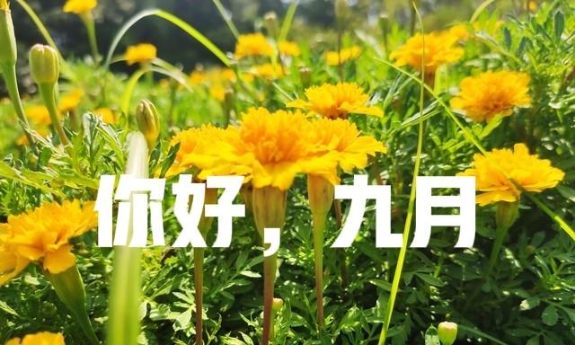 冷空气继续发力，新一轮降温降雨中心已定，大雨暴雨分布如下