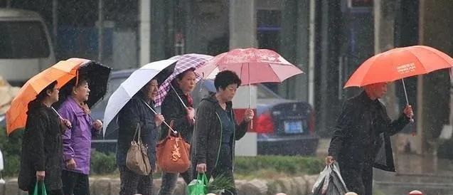 黑龙江新一轮降水来袭！局地大雨+早晨大雾，出行要留心