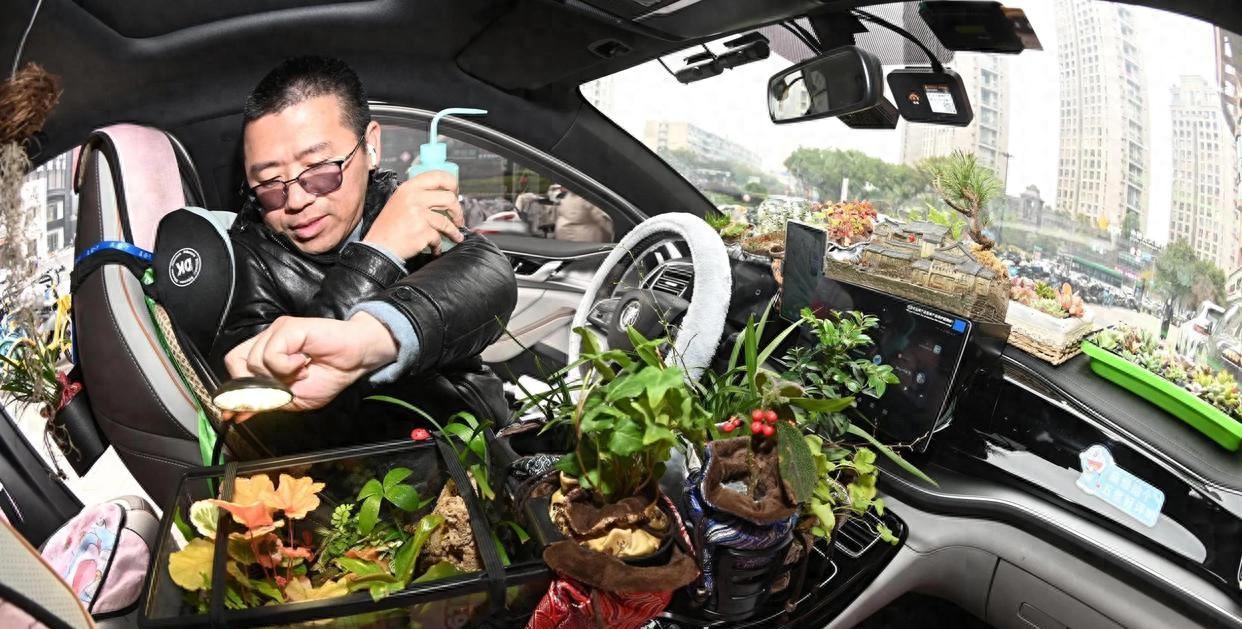 男子爱养花“在网约车上种了80多盆绿植”，网友：真绿色，真危险