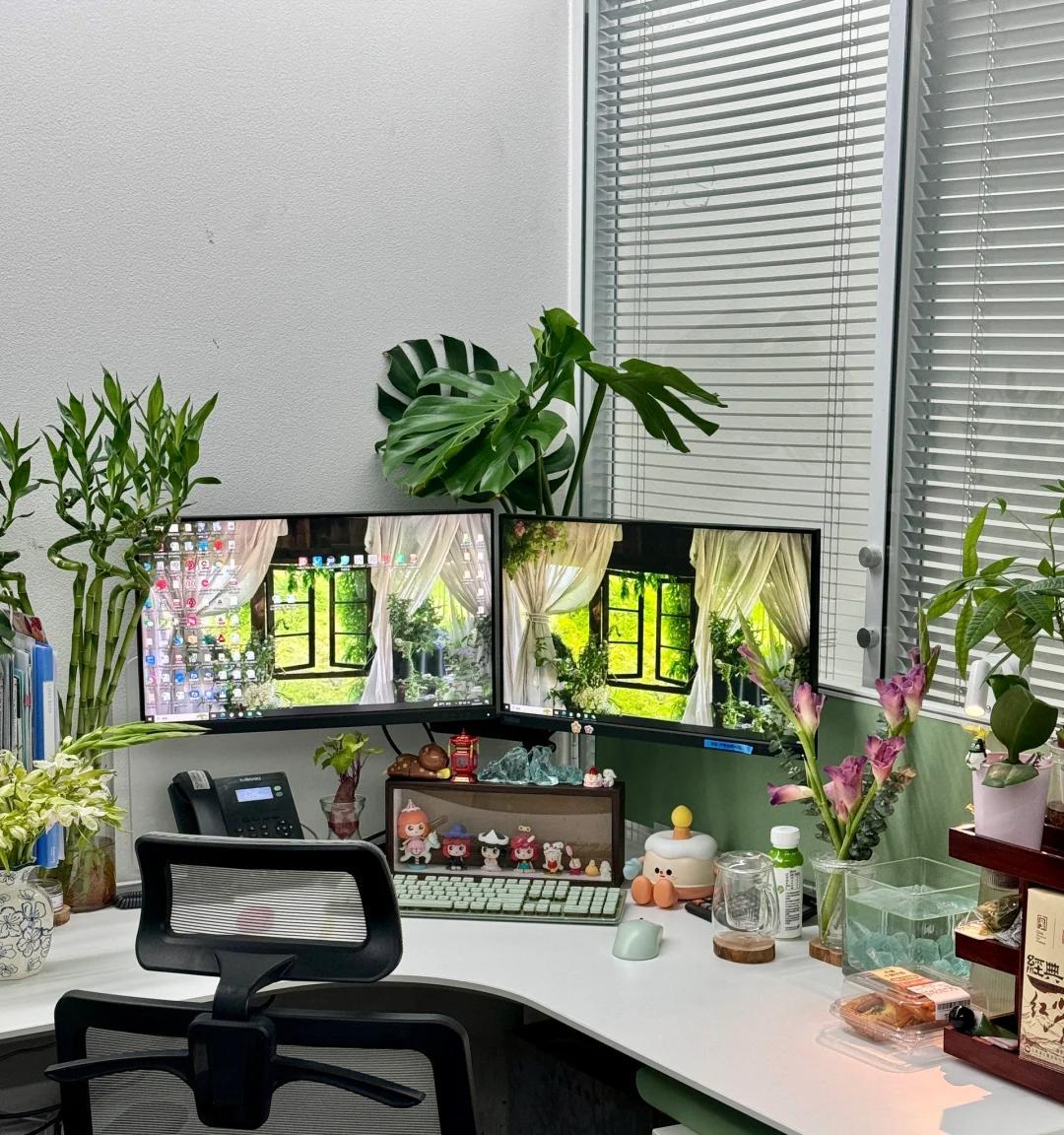 男子被裁员，清理工位上的花，大大小小一拖车：工位当家的代价