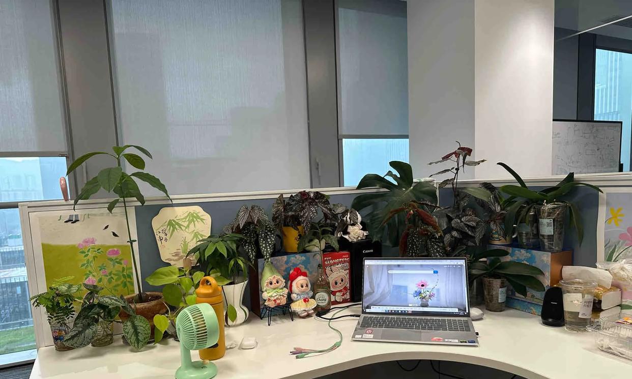 男子被裁员，清理工位上的花，大大小小一拖车：工位当家的代价