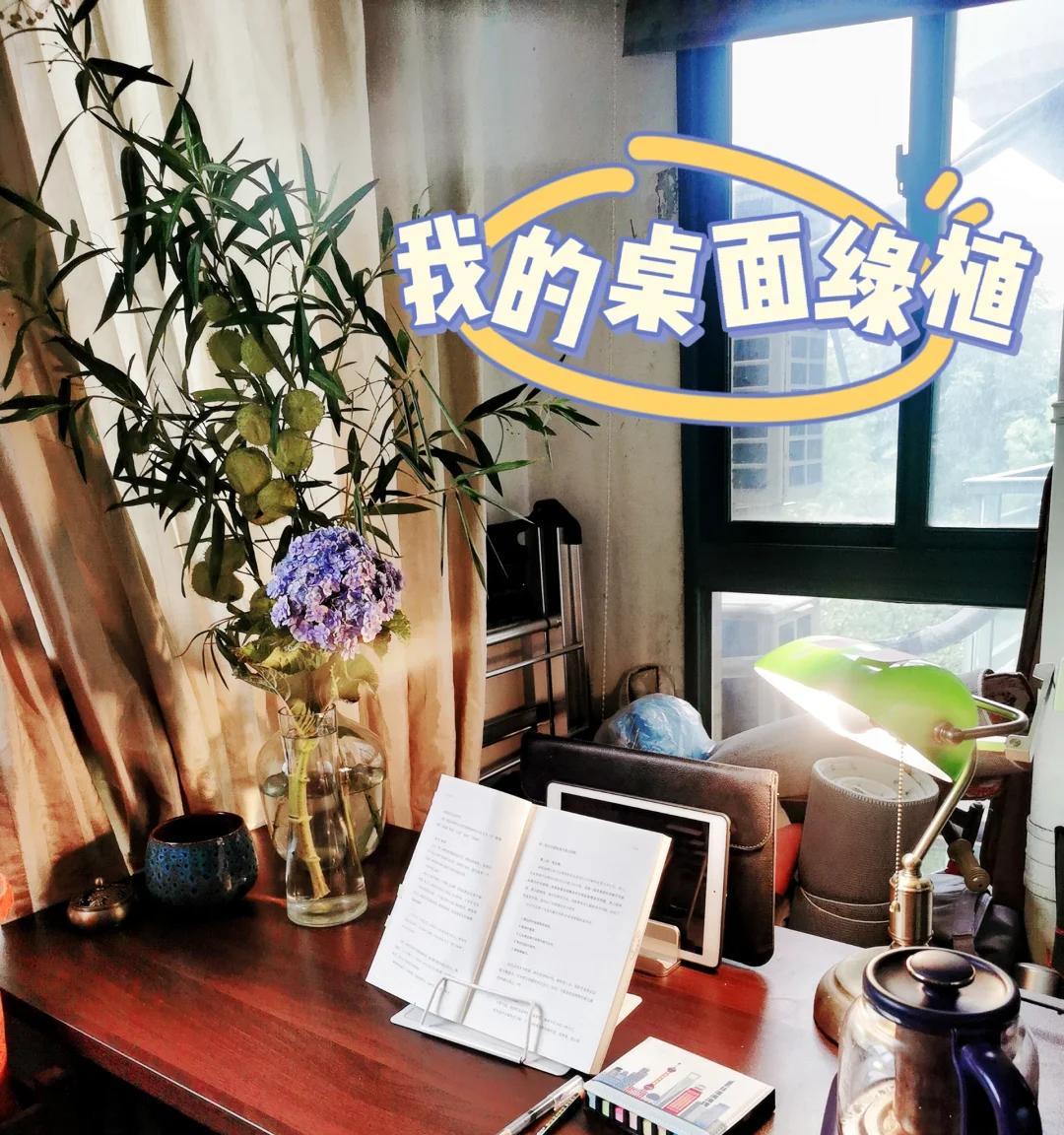 男子被裁员，清理工位上的花，大大小小一拖车：工位当家的代价