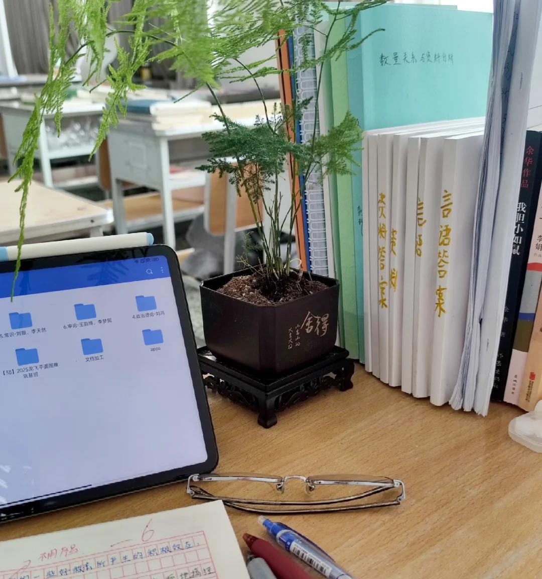 男子被裁员，清理工位上的花，大大小小一拖车：工位当家的代价