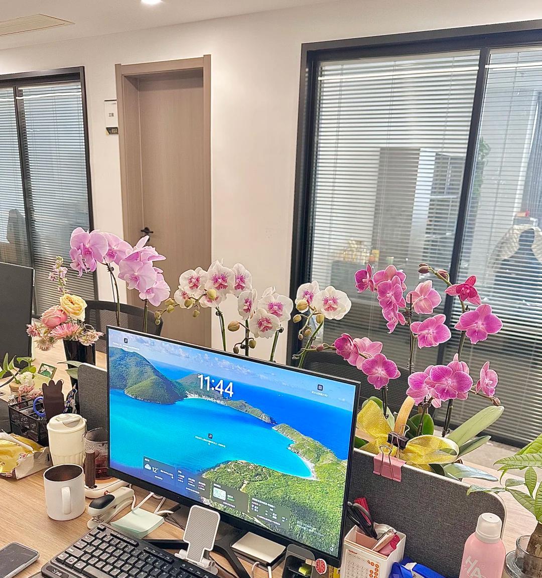 男子被裁员，清理工位上的花，大大小小一拖车：工位当家的代价