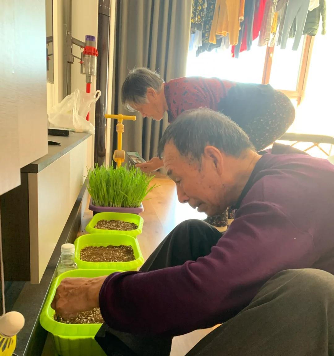 男子“在6楼斜坡养花”，网友：我滴天，腿软了，这花是非养不可?