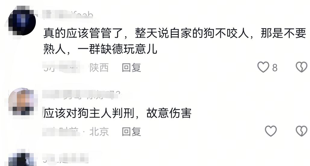 男子养多条狗不拴绳，其中一只恶犬发疯撕咬女子！狗主人控制不住