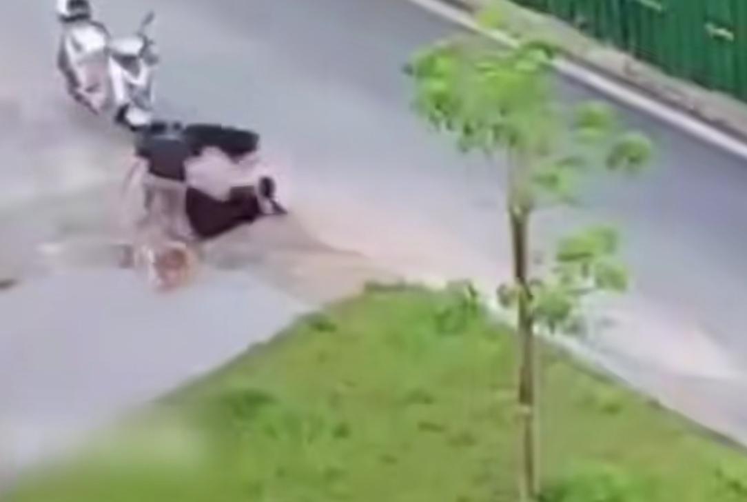 男子养多条狗不拴绳，其中一只恶犬发疯撕咬女子！狗主人控制不住