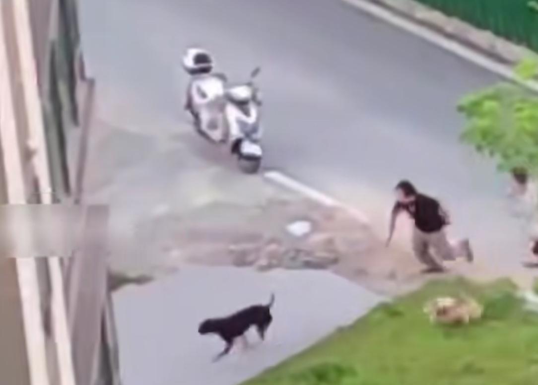 男子养多条狗不拴绳，其中一只恶犬发疯撕咬女子！狗主人控制不住