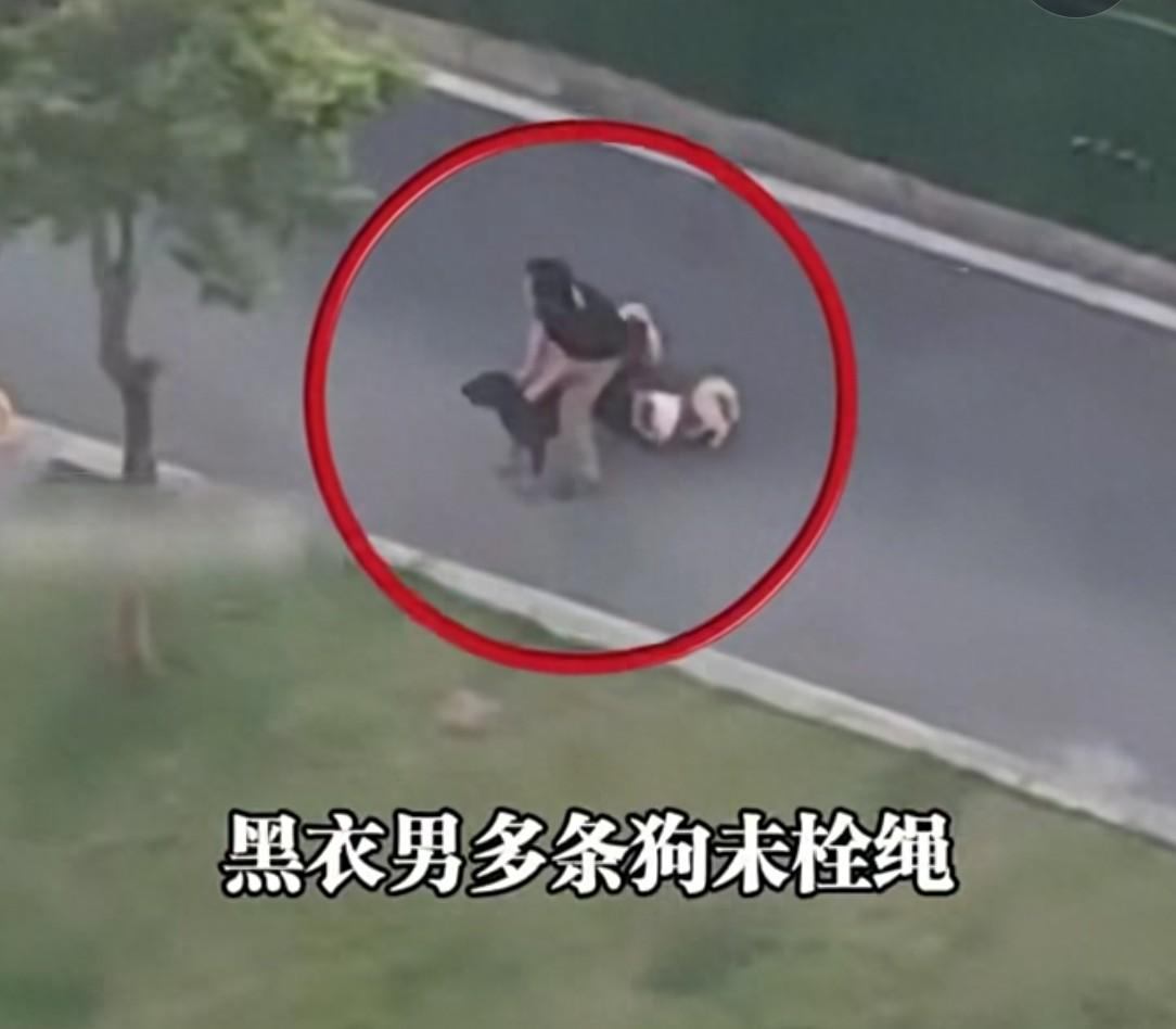 男子养多条狗不拴绳，其中一只恶犬发疯撕咬女子！狗主人控制不住