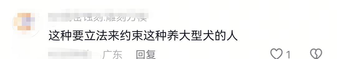 男子养多条狗不拴绳，其中一只恶犬发疯撕咬女子！狗主人控制不住