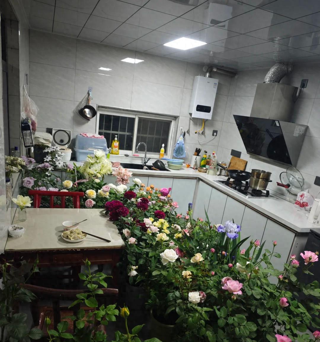 男子吐槽媳妇，“种花”病进入晚，咋冶？网友：治啥，加入就对了