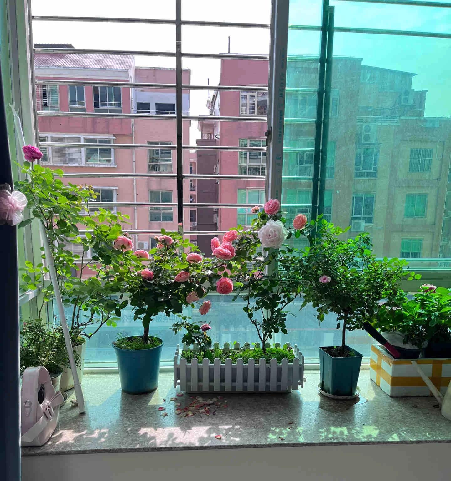 男子吐槽媳妇，“种花”病进入晚，咋冶？网友：治啥，加入就对了