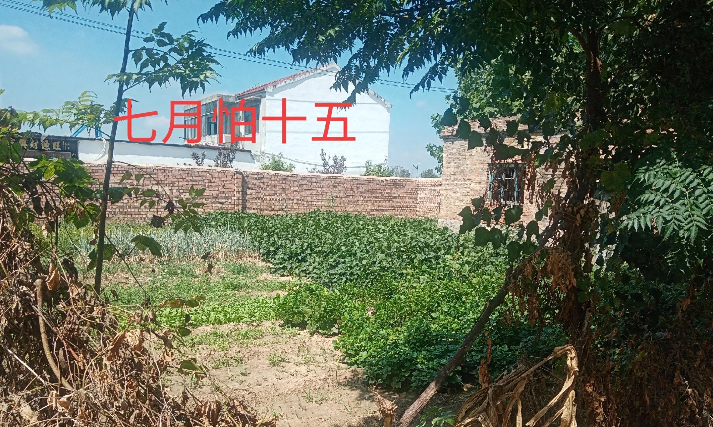 “七月怕十五”，明日七月十五有啥说法？早看早知道，老辈老经验