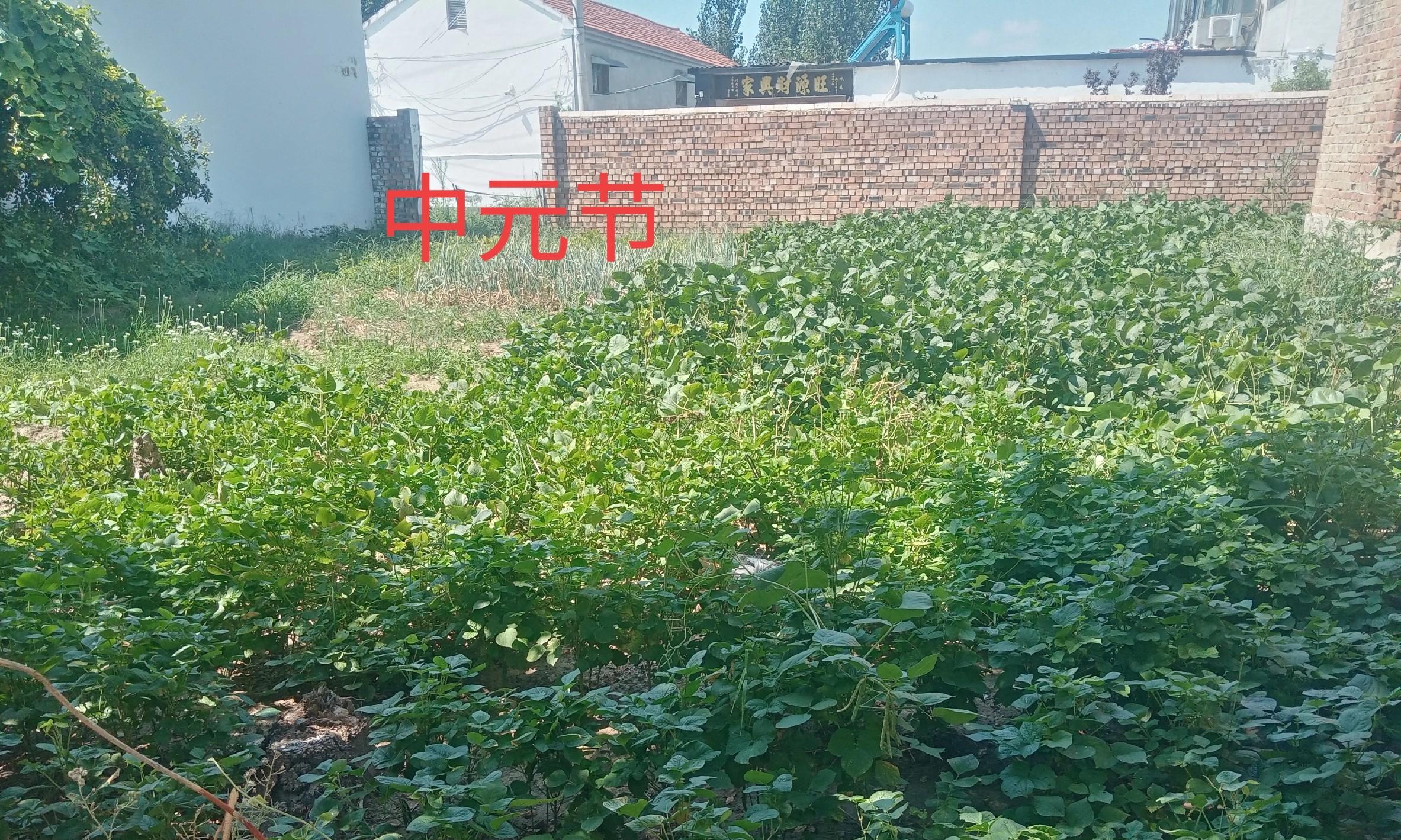 “七月怕十五”，明日七月十五有啥说法？早看早知道，老辈老经验