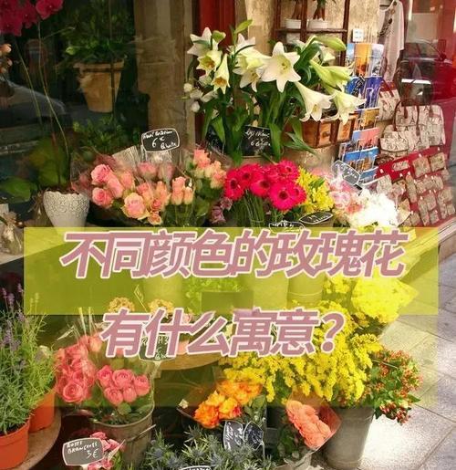 玫瑰花语之绽放的世界（探寻玫瑰花不同颜色的花语）