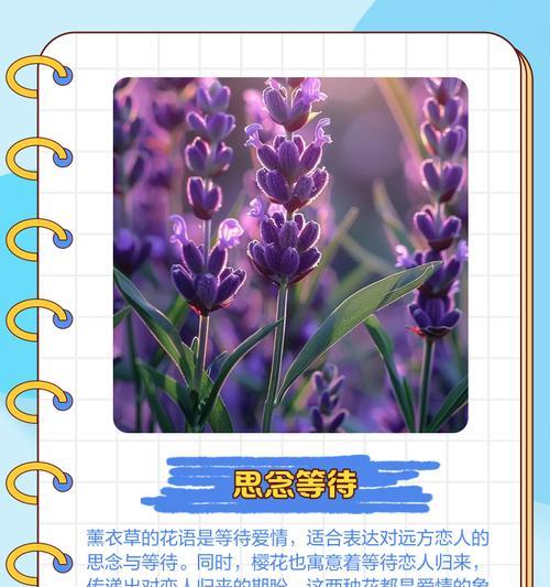 以白色玫瑰花为主题的默默的爱之花语（探寻白色玫瑰花语中的深情与默默付出的爱）