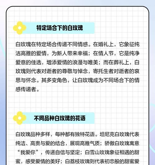 9朵白玫瑰的花语及含义（一束白色的芬芳，传递深情无言）