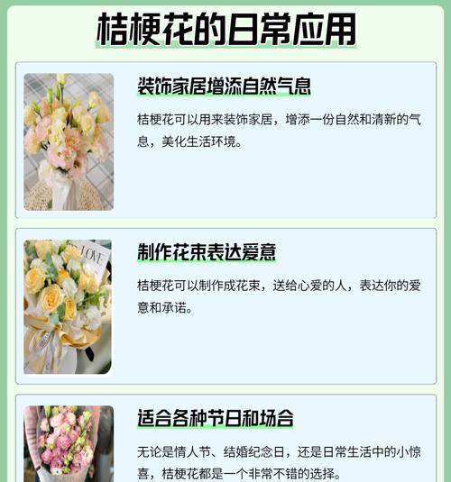 桔梗花语的深意（揭开桔梗花语的奥秘）
