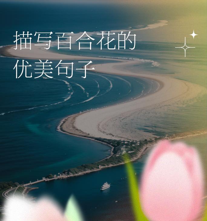 友情之花（传递友谊与温暖的阳光）