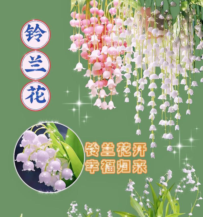 以向日葵的花语为主题的文章（阳光与希望的生命之歌——向日葵花语）