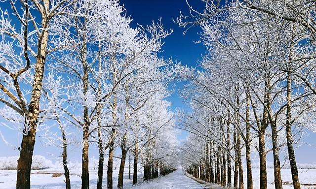 今日七月十五，2025年春节冷不冷？雨雪多不多，答案来了