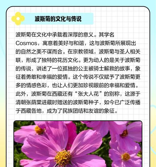 以波斯菊的花语和寓意象征意义是什么？（揭秘波斯菊的神秘花语，了解其隐藏的寓意）