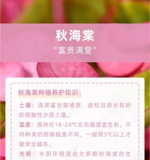 海棠花语（以不同颜色海棠花的花语探索人们的情感世界）