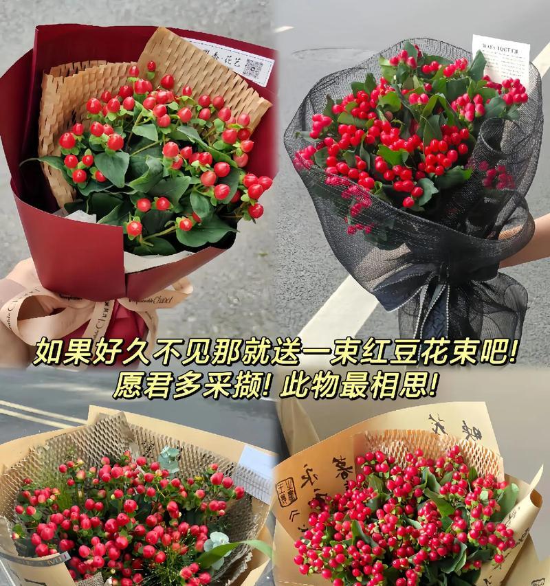 花语长久不见（探寻“好久不见”的花语之谜）