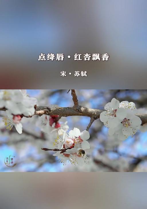 以红杏代表什么生肖？（红杏生肖的象征意义及文化传承）