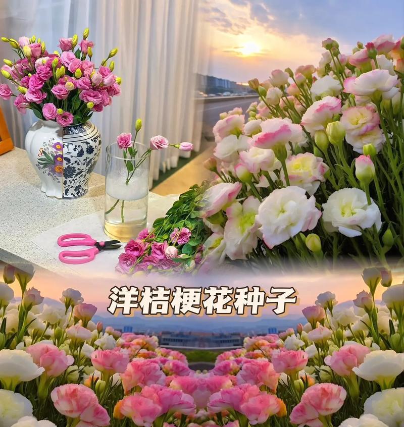 以玫瑰花的花语为主题的文章（传达我对你的深深喜欢和爱意）